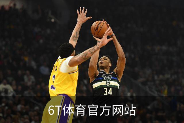 6T体育官方网站公司简介